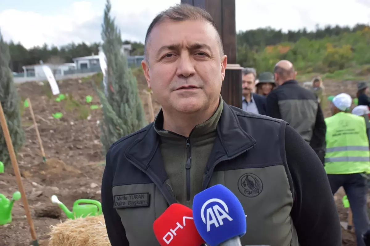 ALJ Türkiye’den Ağaçlandırma Seferberliği İle Umut!