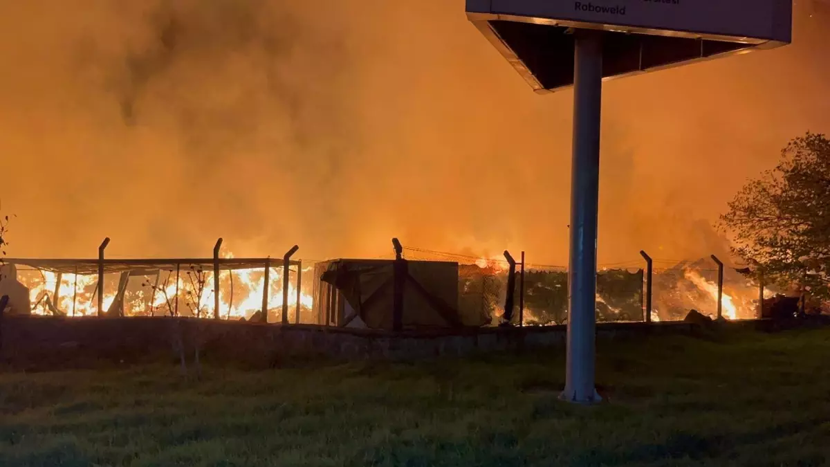 İzmir’de Çöp Alanında Yangın: Panic Havası!