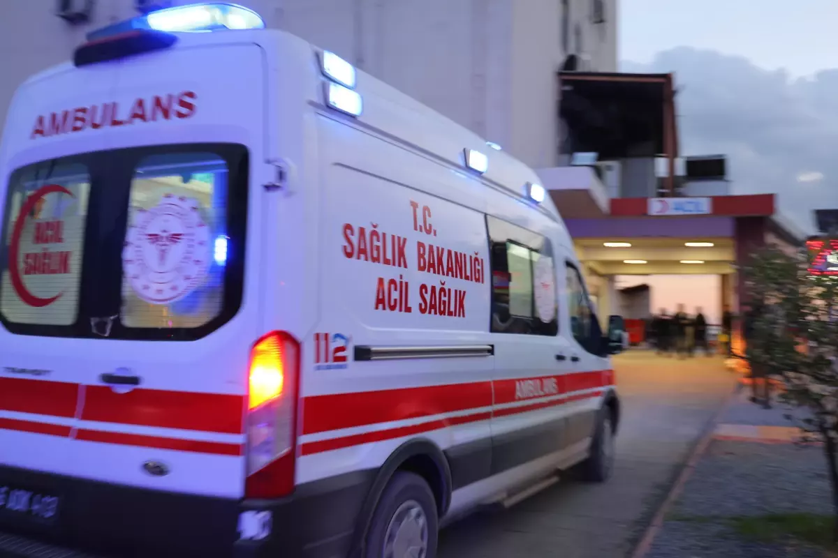 Hayvansever Şule Çörekçi, Yangında Hayatını Kaybetti