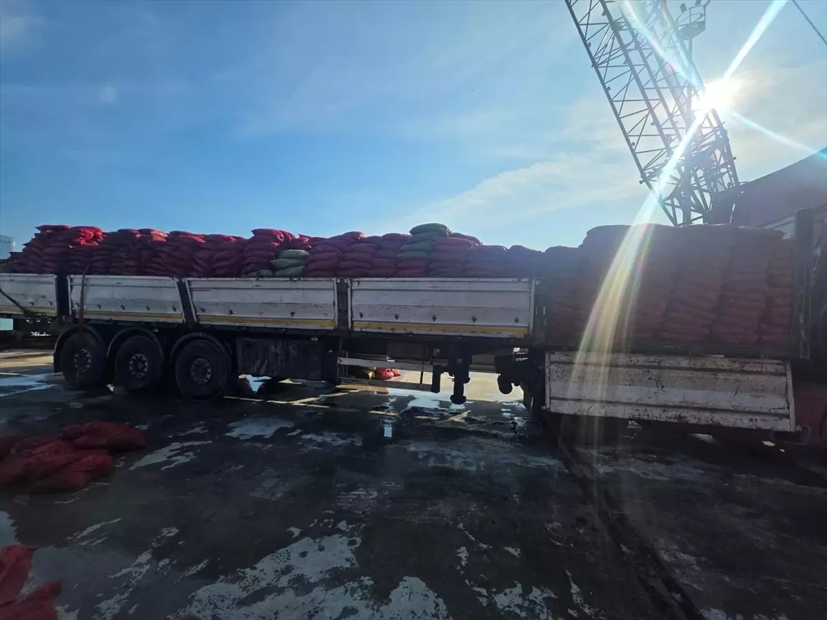 İzmir’de 27 Ton Kaçak Midye Denize Bırakıldı