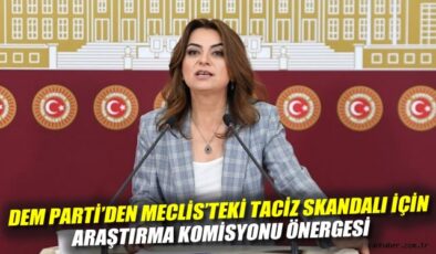 TBMM’de Taciz İddiaları: Araştırma Komisyonu İstendi
