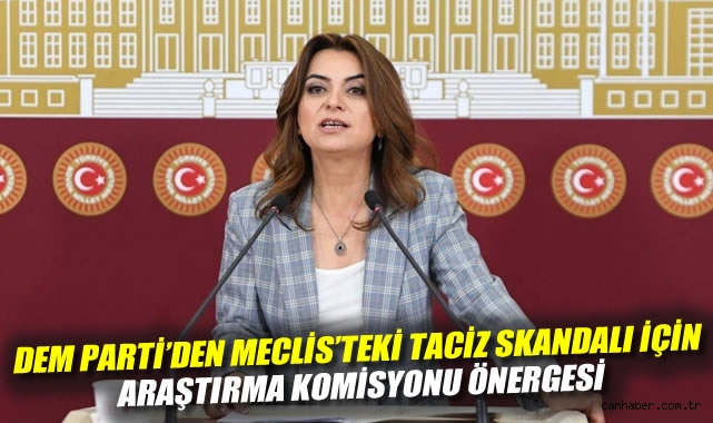 TBMM’de Taciz İddiaları: Araştırma Komisyonu İstendi