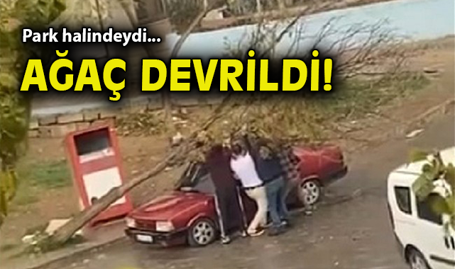 Rüzgarın Devrip Düşürdüğü Ağaç Aracı Zarar Gördü!