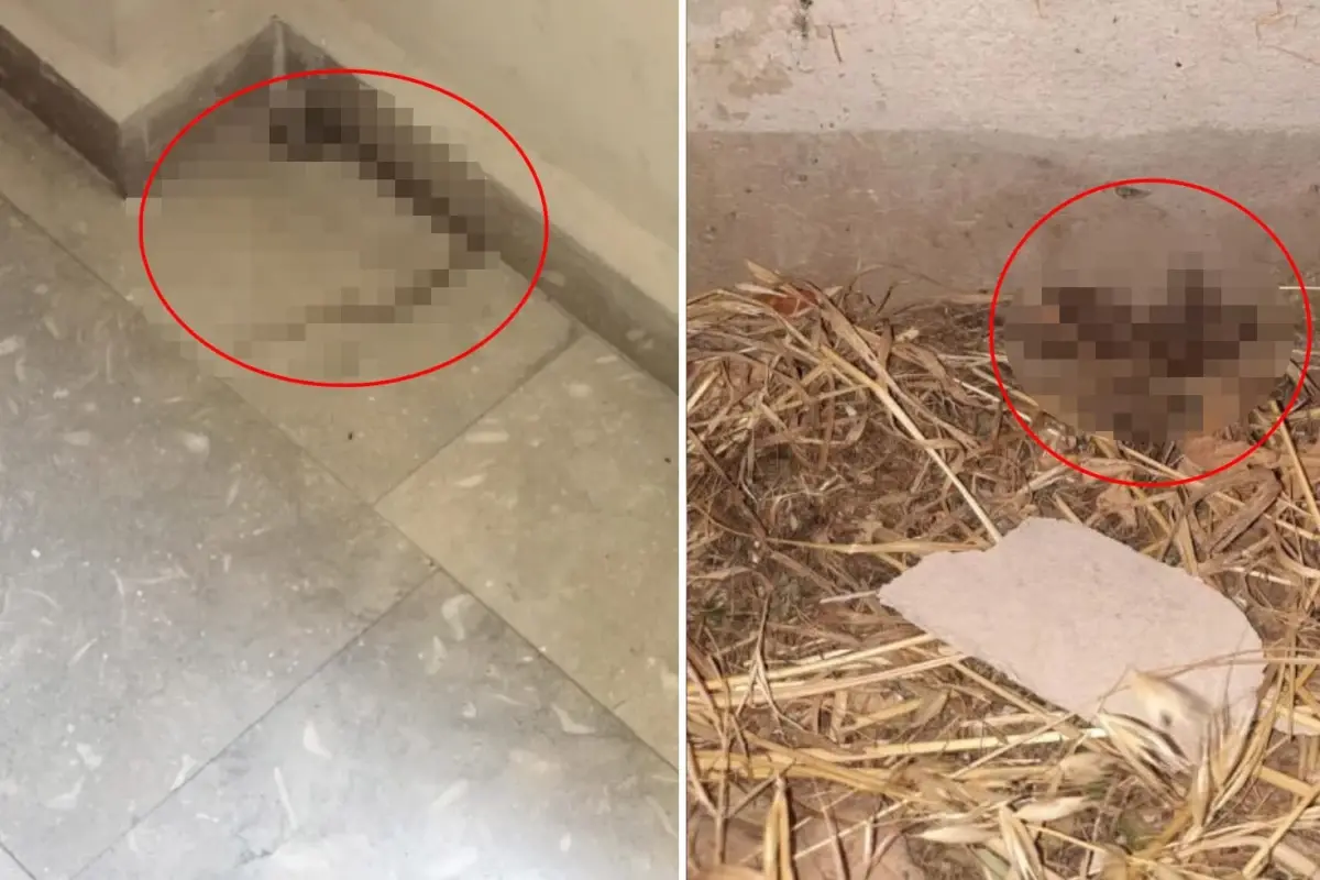 İzmir’de Kız Yurduna Hijyen Tepkisi!