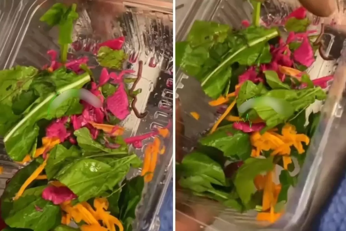 Salatada Şok! Pidecide Ortaya Çıkan Olay!