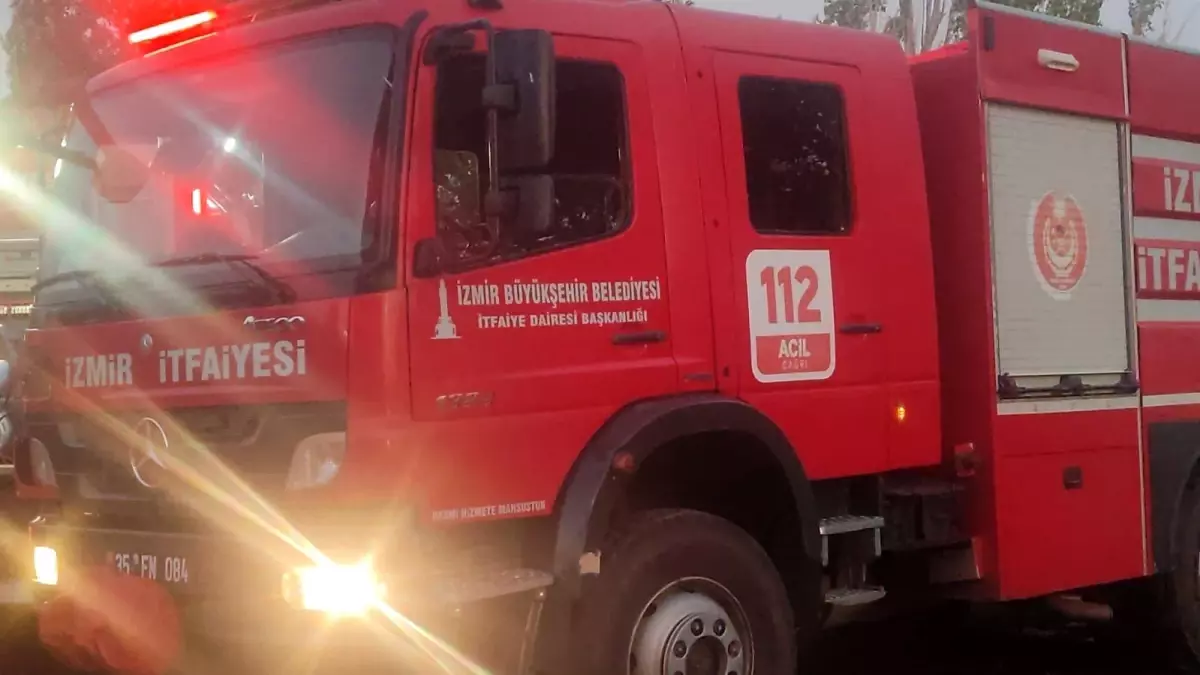 İzmir’deki Yangında Hayvanlar Zarar Gördü!