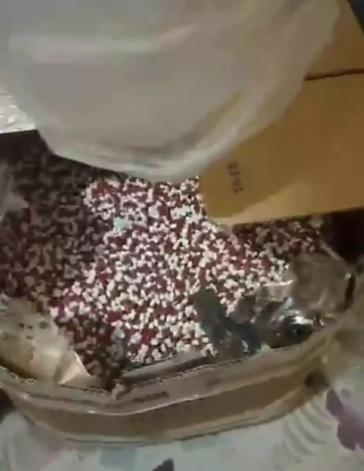 İzmir’de dev uyuşturucu operasyonu: 104 bin hap!