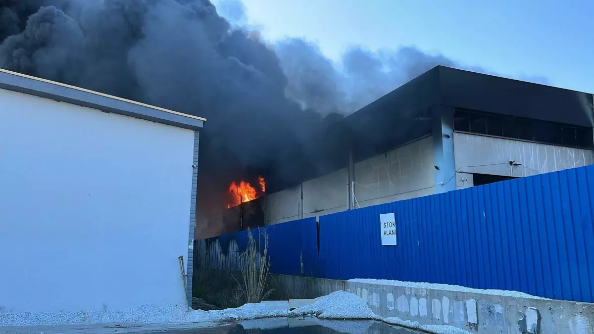 İzmir’deki yangın 1,5 saatte kontrol altına alındı!