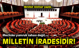 Meclisteki Şiddet, Demokrasiyi Tehdit Ediyor!