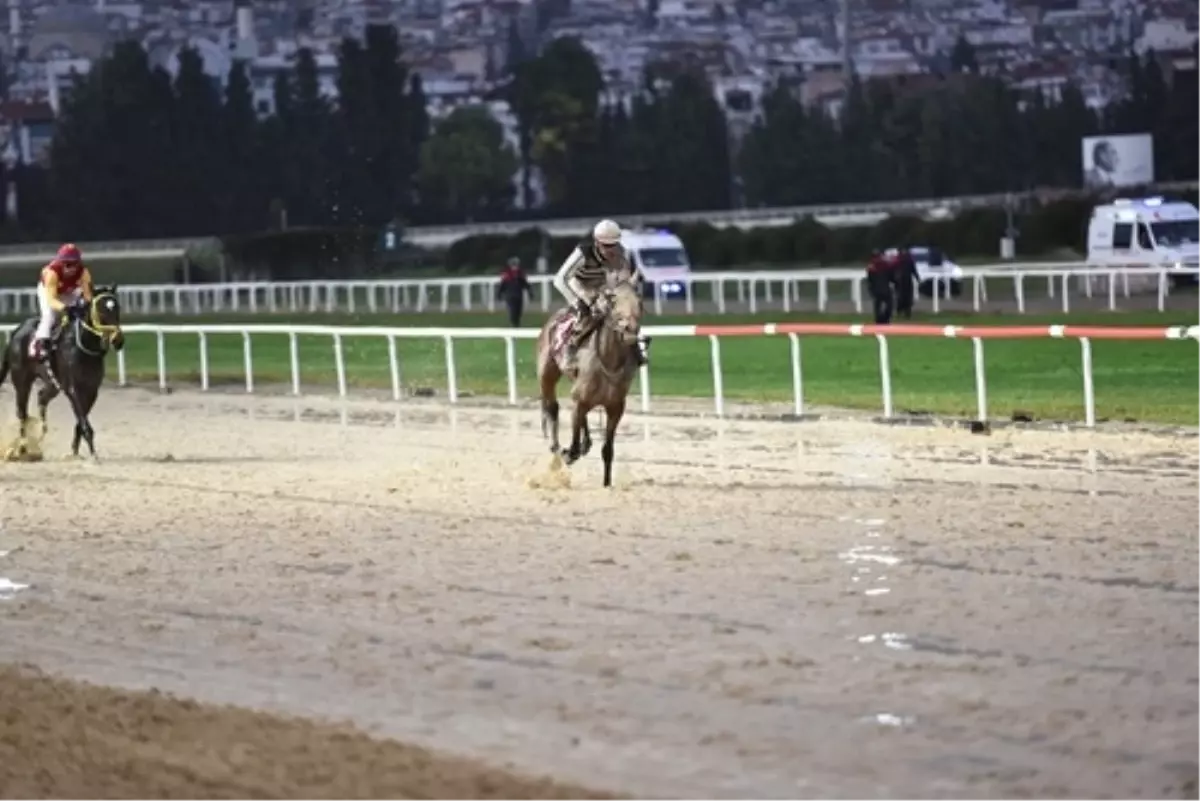 Queen Sev, İzmir’de Zaferle Öne Çıktı!