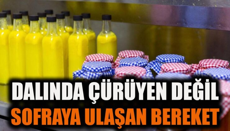 Balçova’da Doğanın Bereketi İhtiyaç Sahiplerine Ulaşıyor!