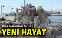 İzmir’de Midye Kabuğuyla Yeni Deniz Yaşamı
