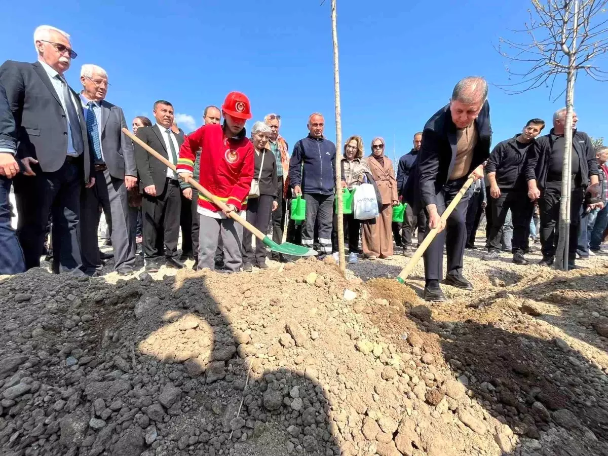 İzmir’de 4.200 Ağaçla Mikro Orman Açılıyor!