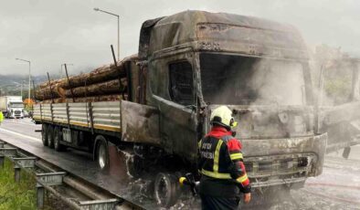 Aydın-İzmir Otoyolu’nda Tır Yangını Panik Yarattı!